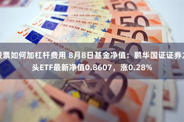 股票如何加杠杆费用 8月8日基金净值：鹏华国证证券龙头ETF最新净值0.8607，涨0.28%