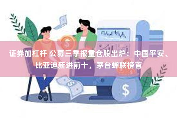 证券加杠杆 公募三季报重仓股出炉：中国平安、比亚迪新进前十，茅台蝉联榜首