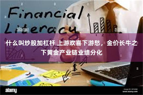 什么叫炒股加杠杆 上游欢喜下游愁，金价长牛之下黄金产业链业绩分化