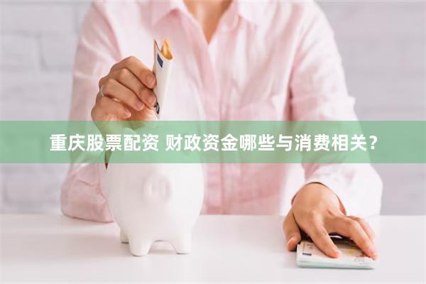 重庆股票配资 财政资金哪些与消费相关？