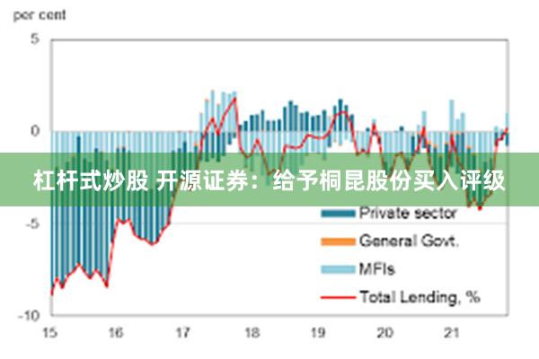 杠杆式炒股 开源证券：给予桐昆股份买入评级