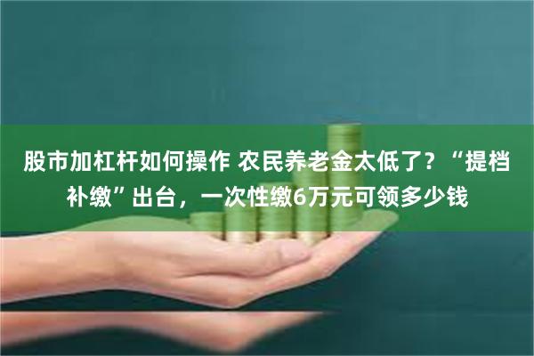 股市加杠杆如何操作 农民养老金太低了？“提档补缴”出台，一次性缴6万元可领多少钱