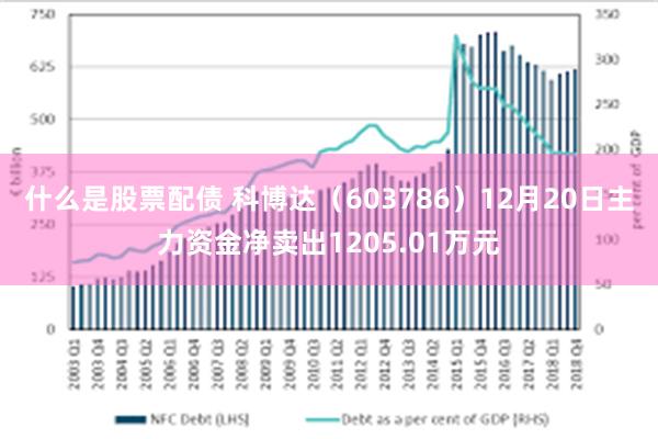 什么是股票配债 科博达（603786）12月20日主力资金净卖出1205.01万元