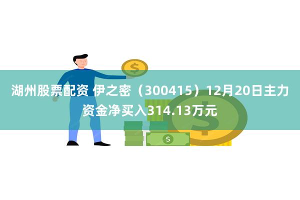 湖州股票配资 伊之密（300415）12月20日主力资金净买入314.13万元