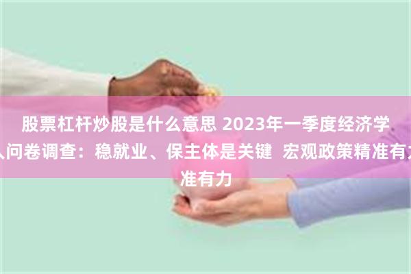 股票杠杆炒股是什么意思 2023年一季度经济学人问卷调查：稳就业、保主体是关键  宏观政策精准有力