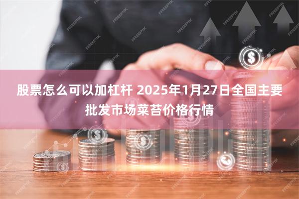 股票怎么可以加杠杆 2025年1月27日全国主要批发市场菜苔价格行情