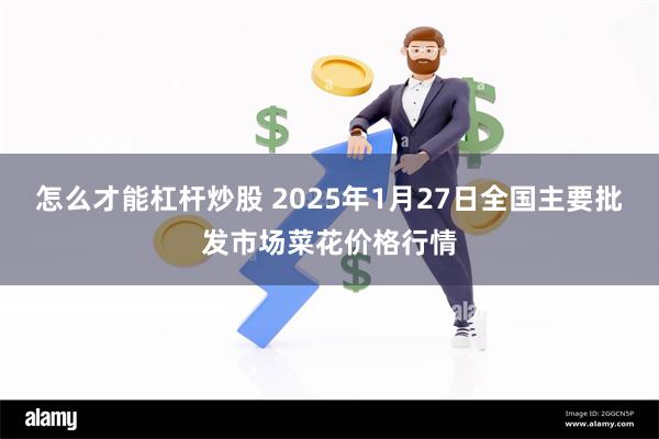 怎么才能杠杆炒股 2025年1月27日全国主要批发市场菜花价格行情