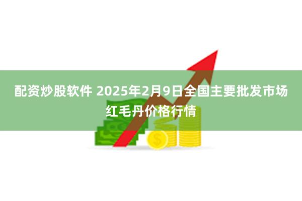 配资炒股软件 2025年2月9日全国主要批发市场红毛丹价格行情